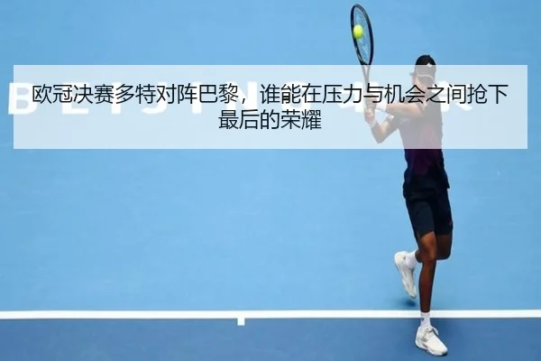 欧冠决赛多特对阵巴黎，谁能在压力与机会之间抢下最后的荣耀 - dianjingniu